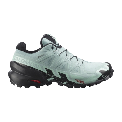 SALOMON SPEEDCROSS 6 GTX W